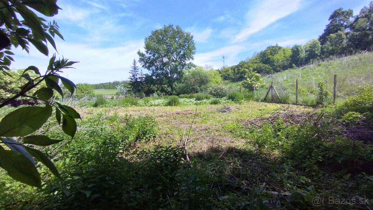 Predaj rodinný dom pri Leviciach - 2