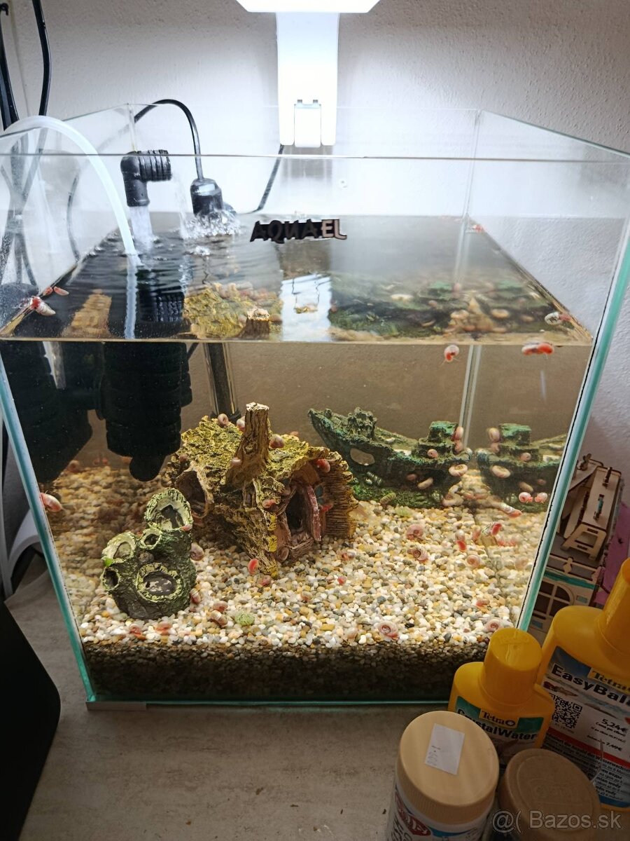 Aqvarium - 2