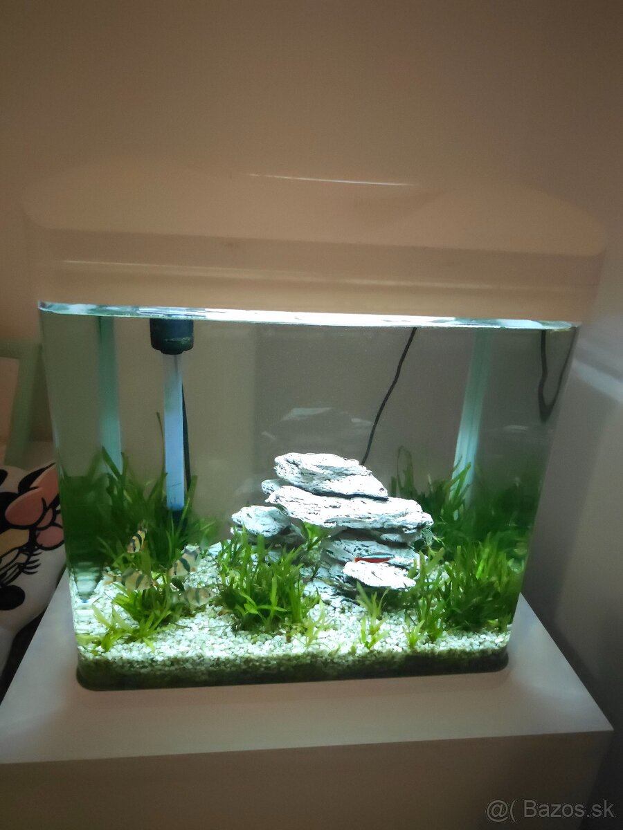 Akvárium Invital 30 l - 2