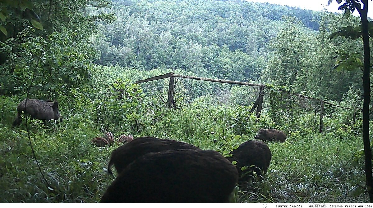 Fotopasca HC900M, GSM, MMS, EMAIL + KARTA 32GB - 2