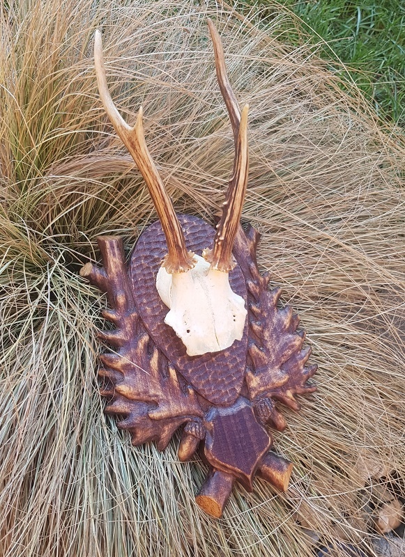 trofej, spicer, srnka - 2