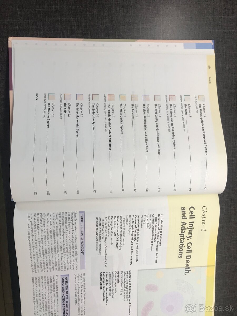 Robbins Basic Pathology - 2