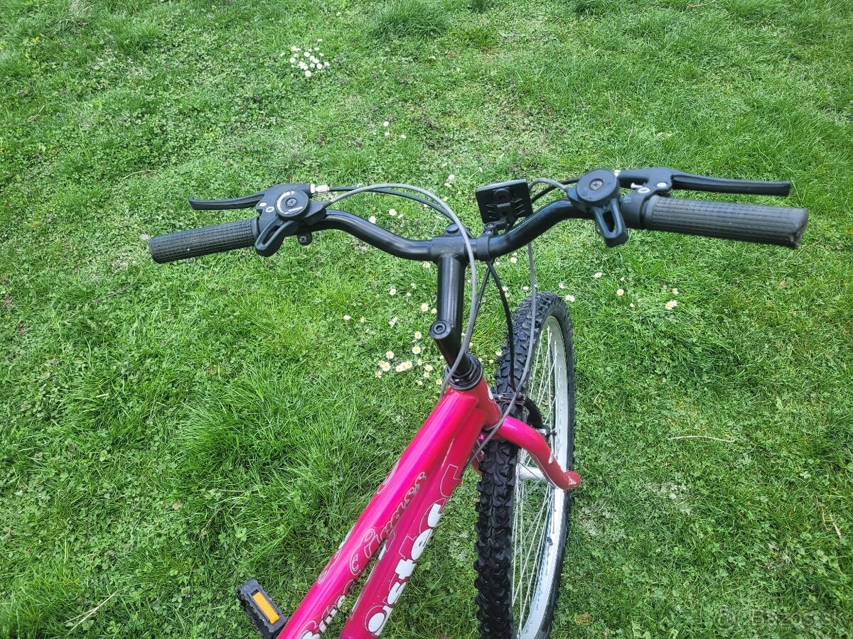 Predam bike BLUE GRASS - 2