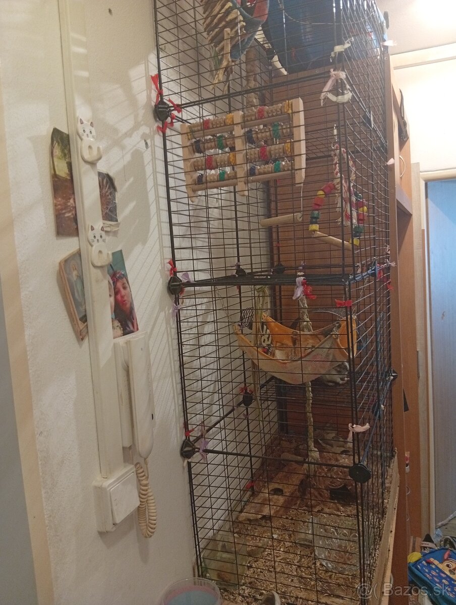 Darujem osmakov degu - 2