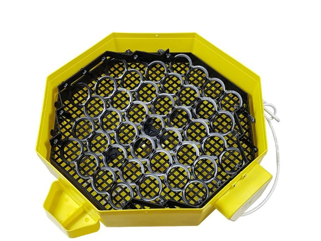 Automatická Liaheň na vajcia CLEO 5 DTH AUTOMATIC - 2