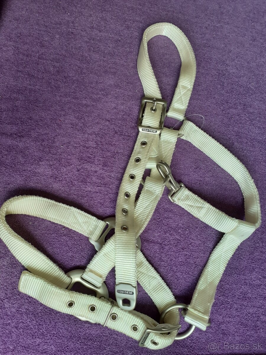 Vypredaj pre koňa i jazdca - 2