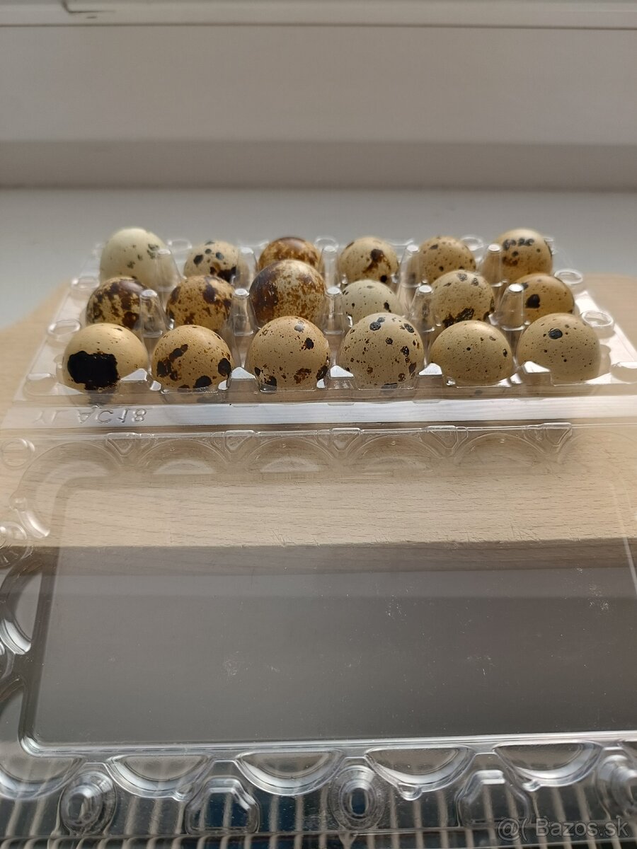 prepeličie vajíčka - 2