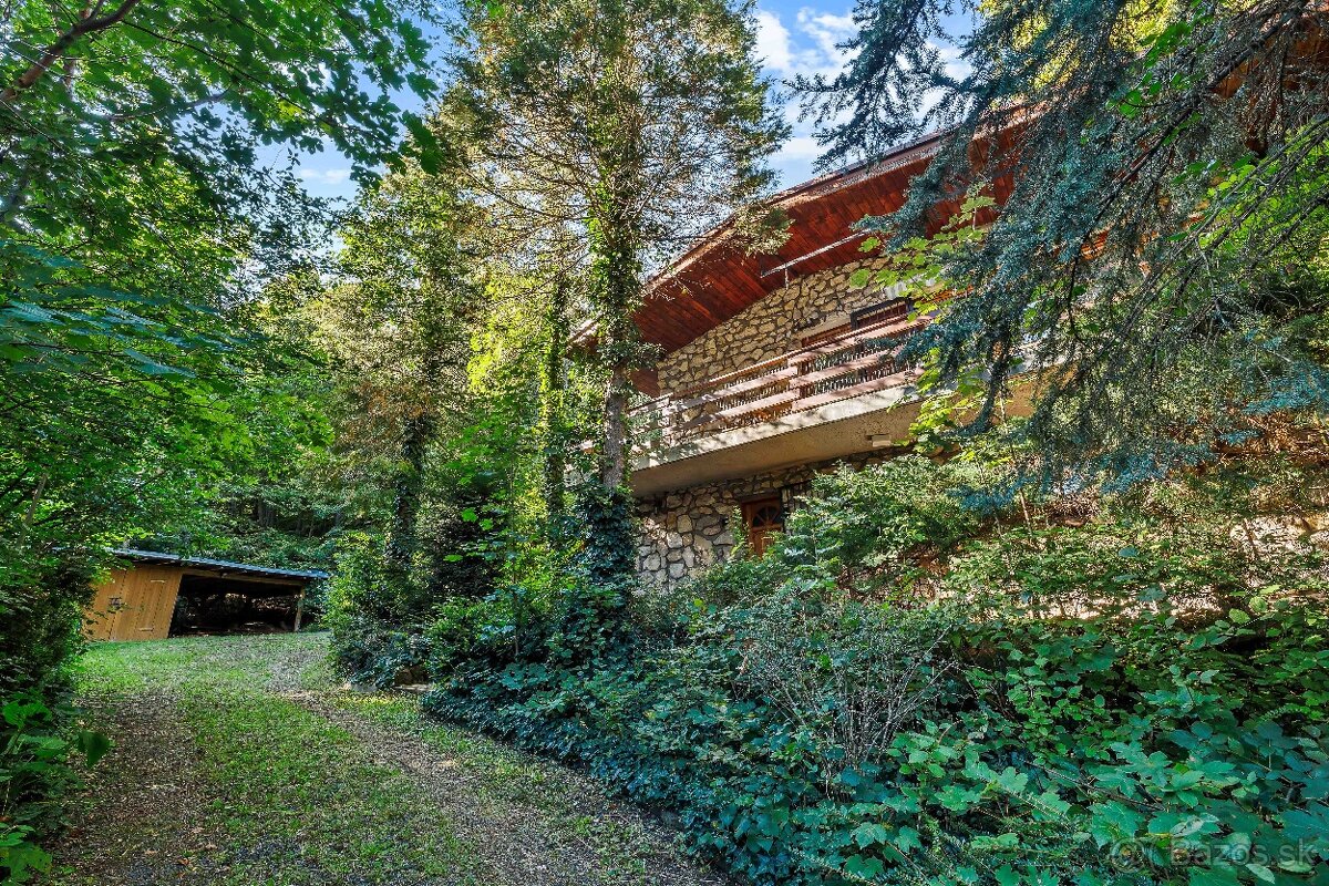 Chata na Záhorí v lesoch nad Kuchyňou - 2