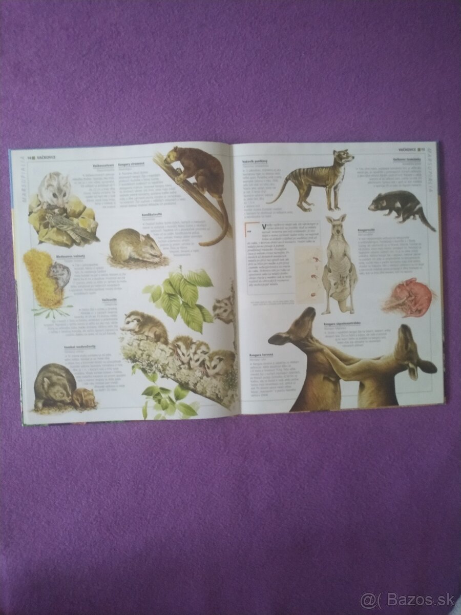 Kniha Obrazova encyklopedia zvieraa - 2