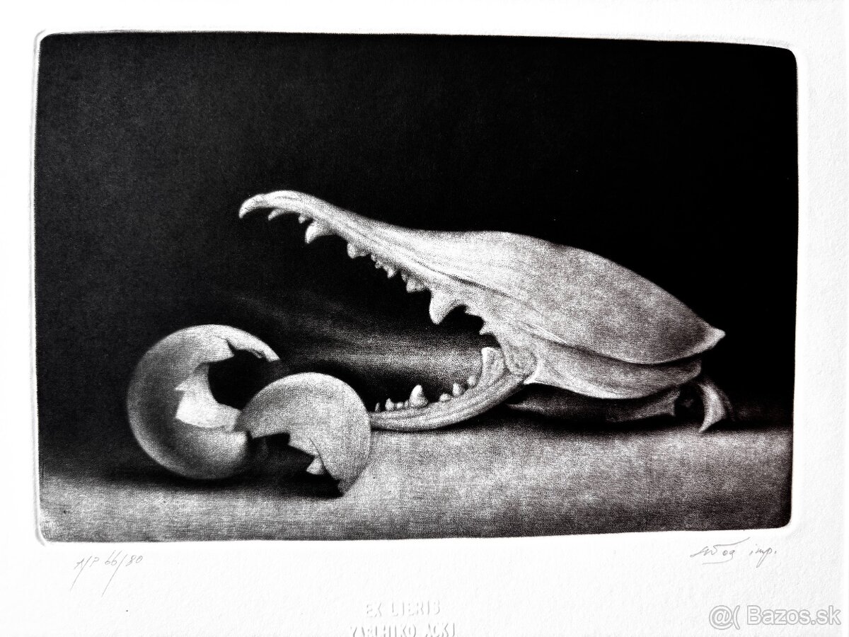 Konstantin Chmutin - 2