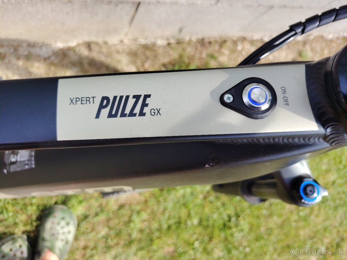 CTM Pulze XPERT GX - 2