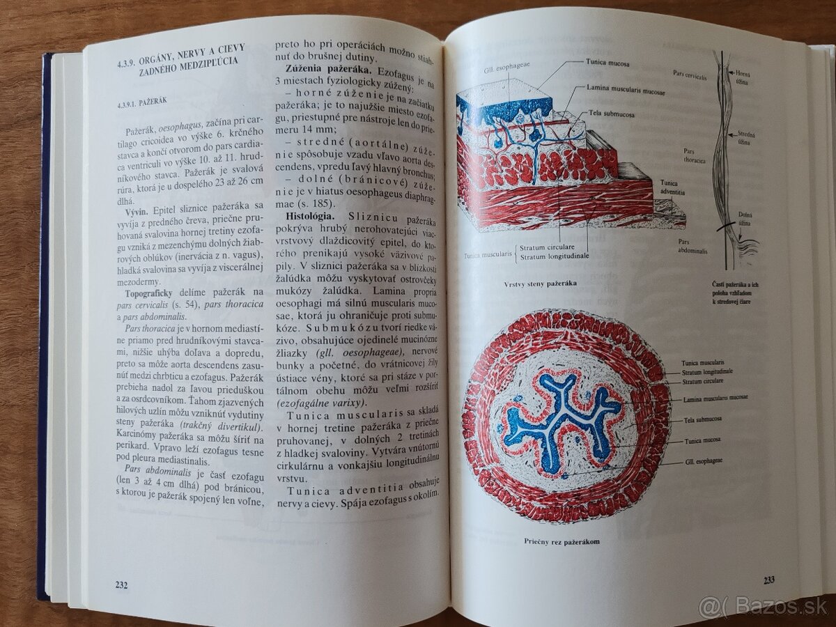 Medicína - 2