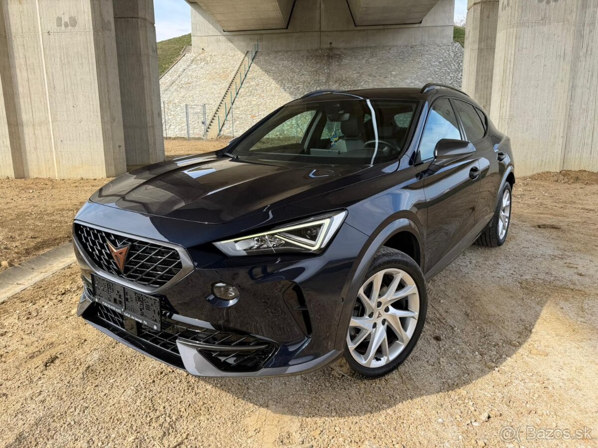 Cupra Formentor 2.0 TDI 4x4 DSG - 2