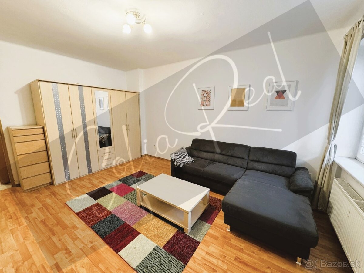 PRENÁJOM: 2-izbový byt; širšie centrum (Trnavské mýto) - 2