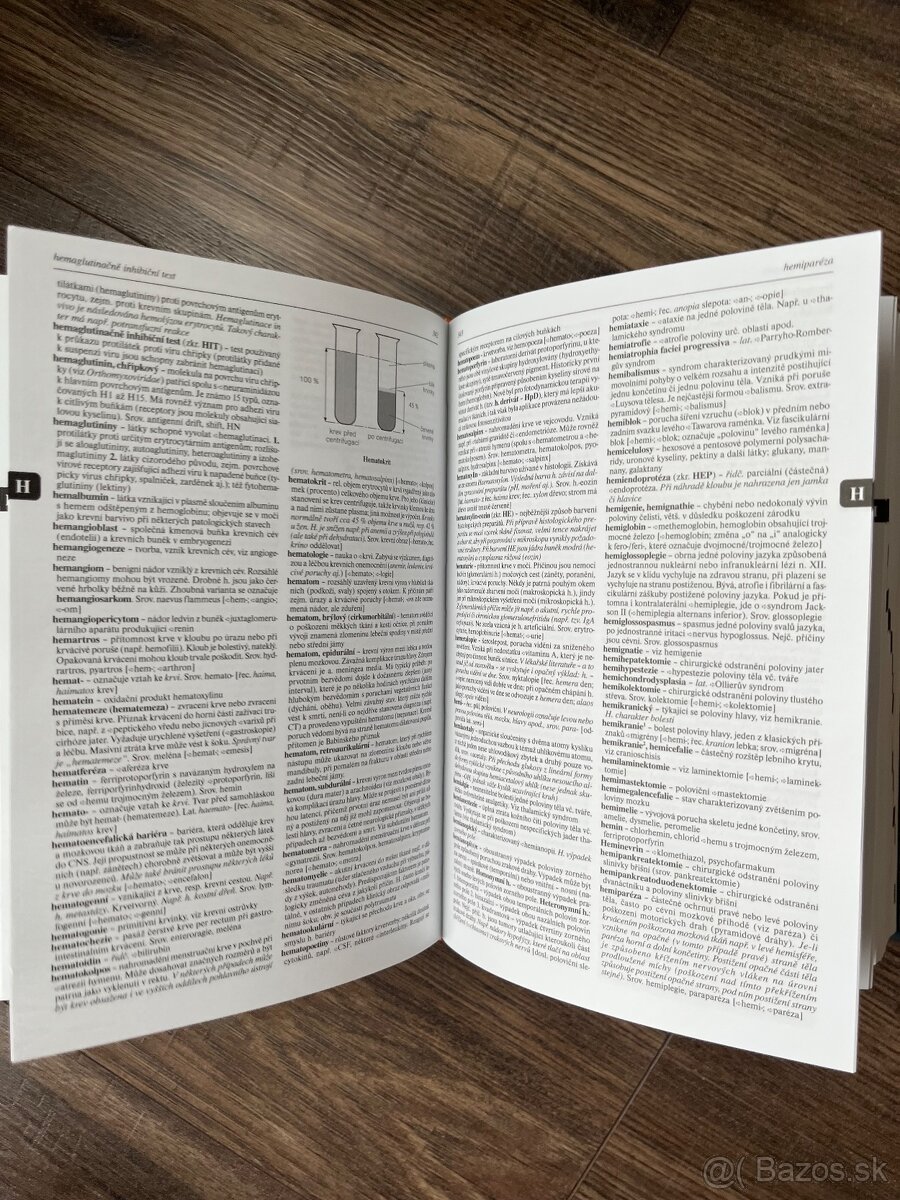 Velký lekársky slovník - 2