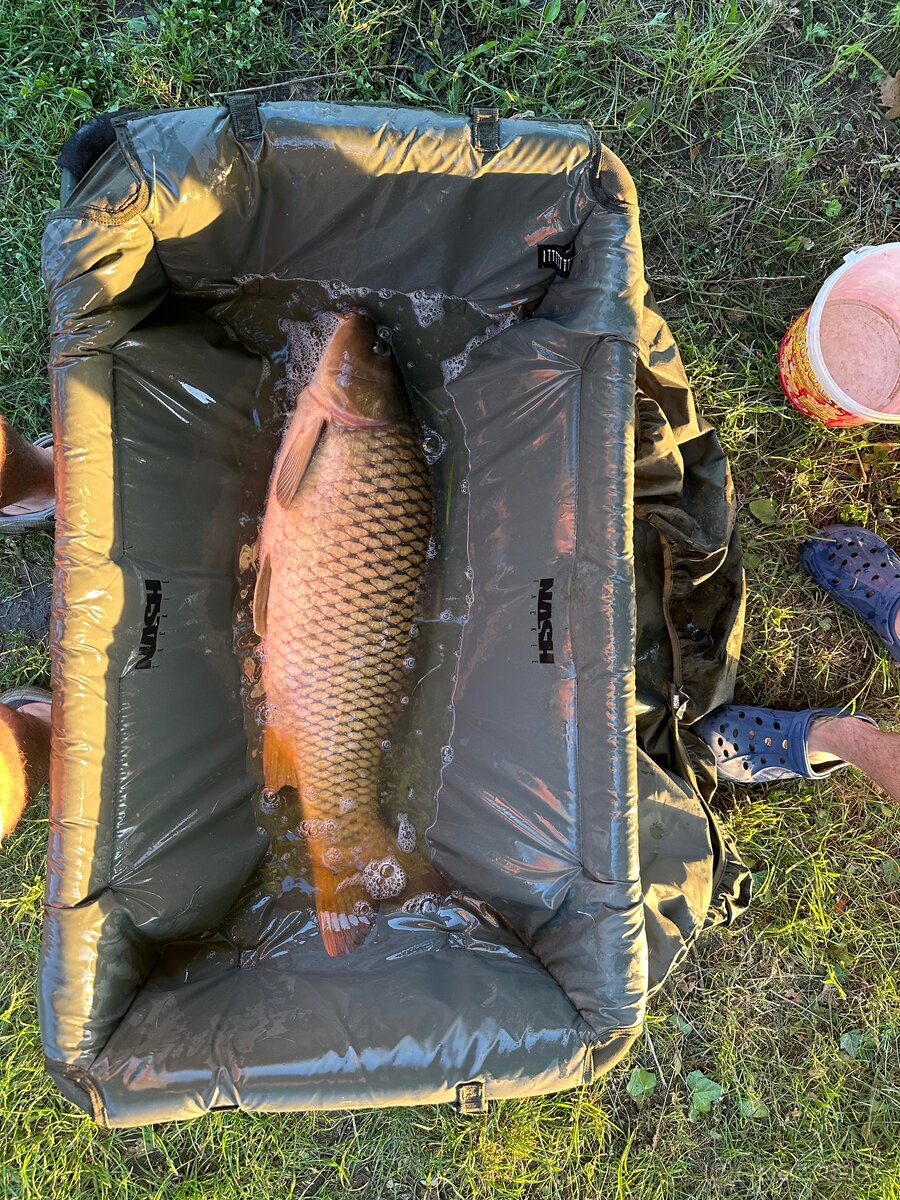 Rôzne veci na ryby - 2