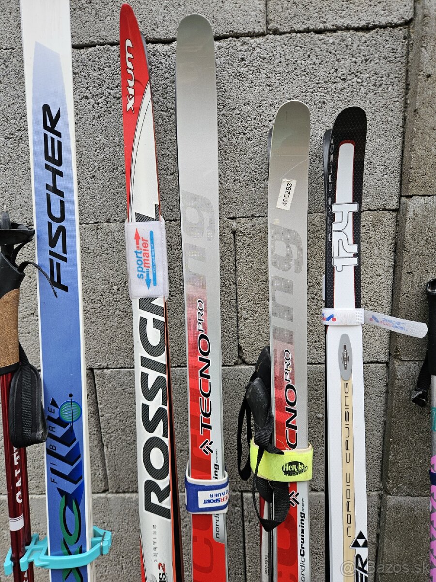 Bezky, palice na bezky, topanky - 2