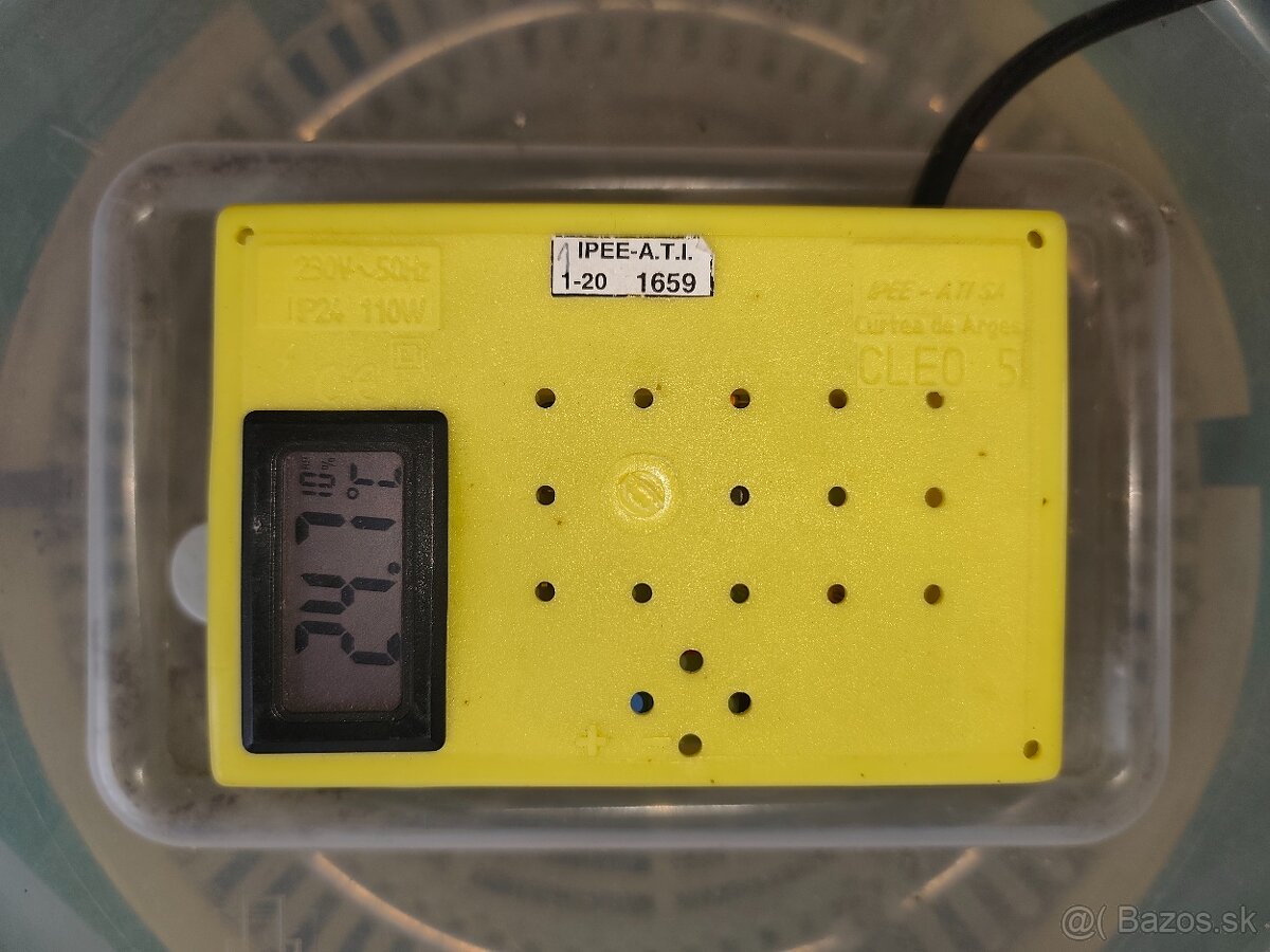 Predám liaheň Cleo5 - 2