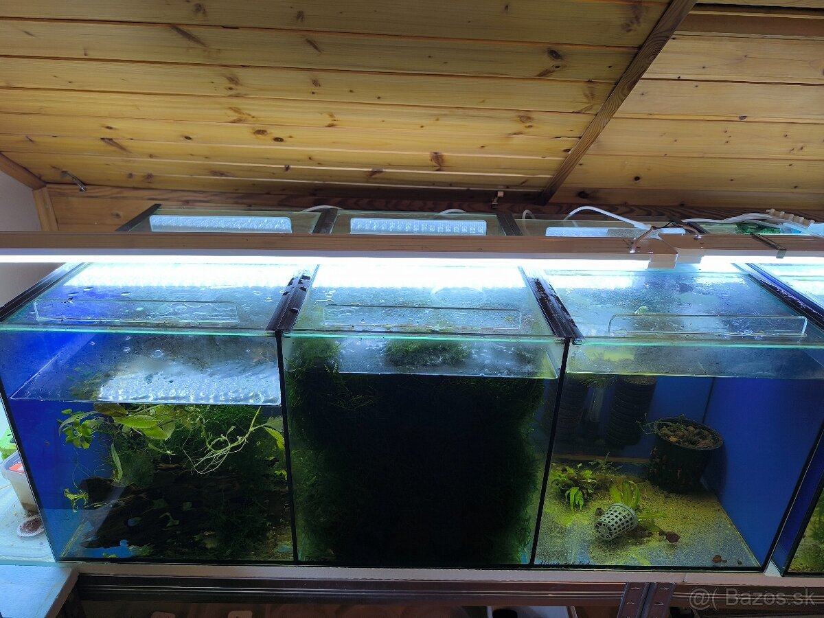 Predám akvárium 185 l 100x50x37 - 2