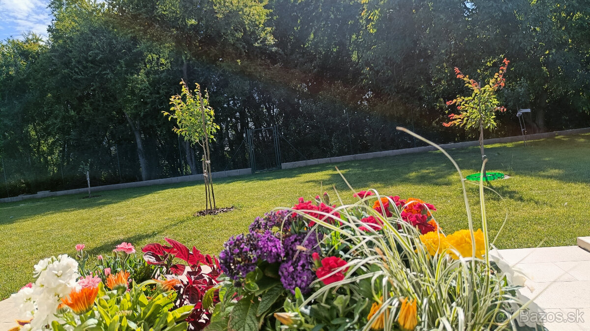 RD v Galante-rod.dôvody. - 2