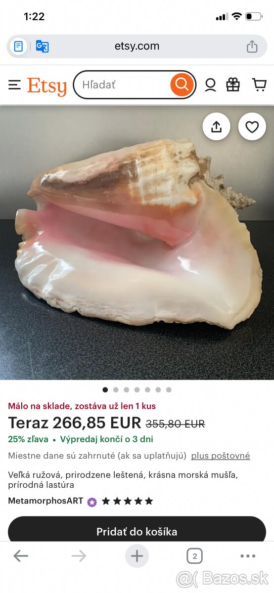 Veľký exemplár lastúry mušle - 2