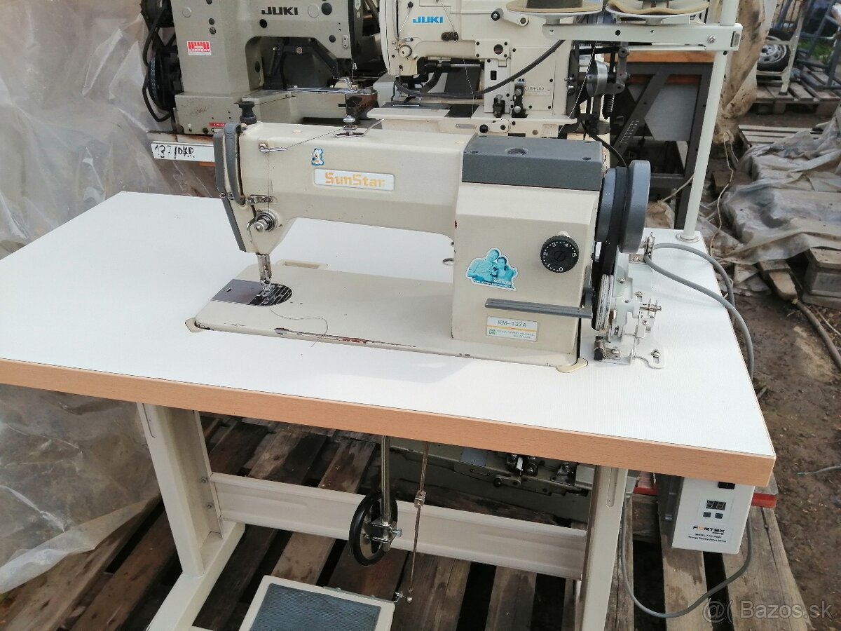 Sunstar, jednoihlovka - 2