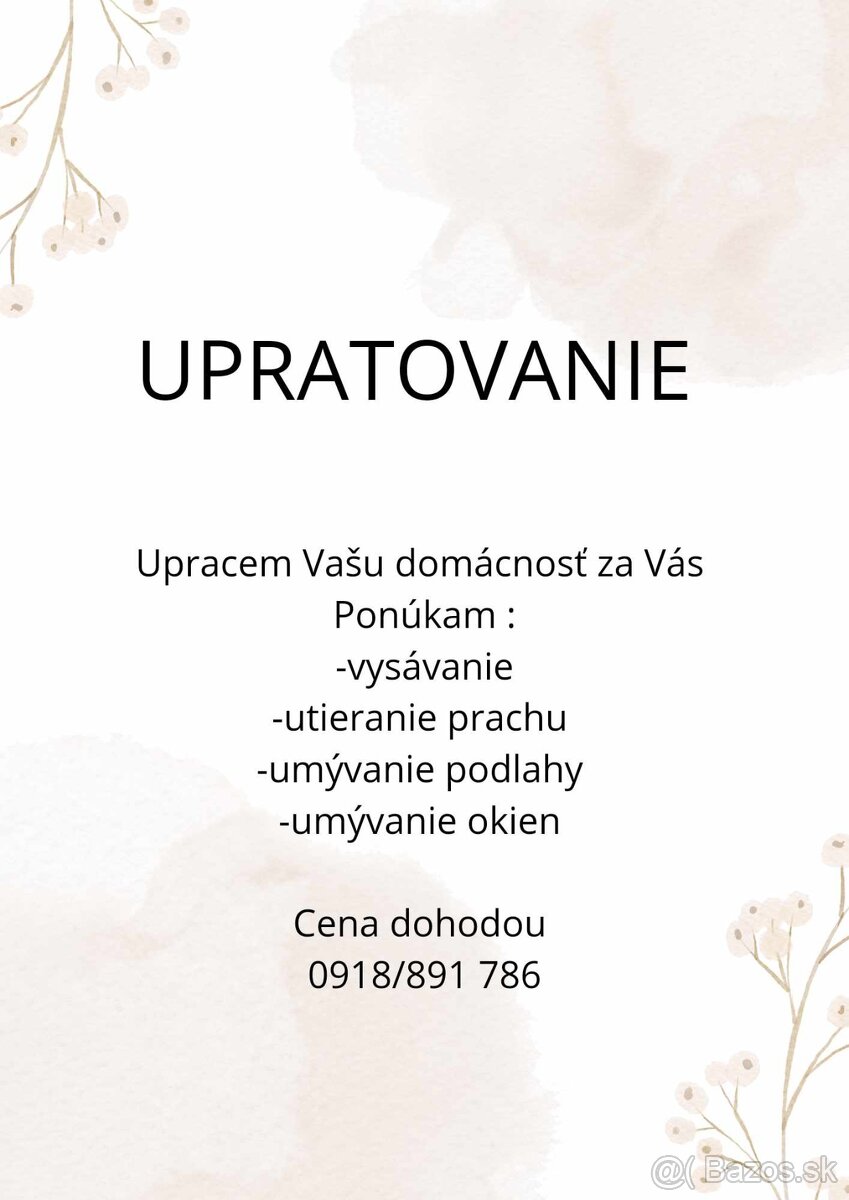 Upratovanie Šala - 2