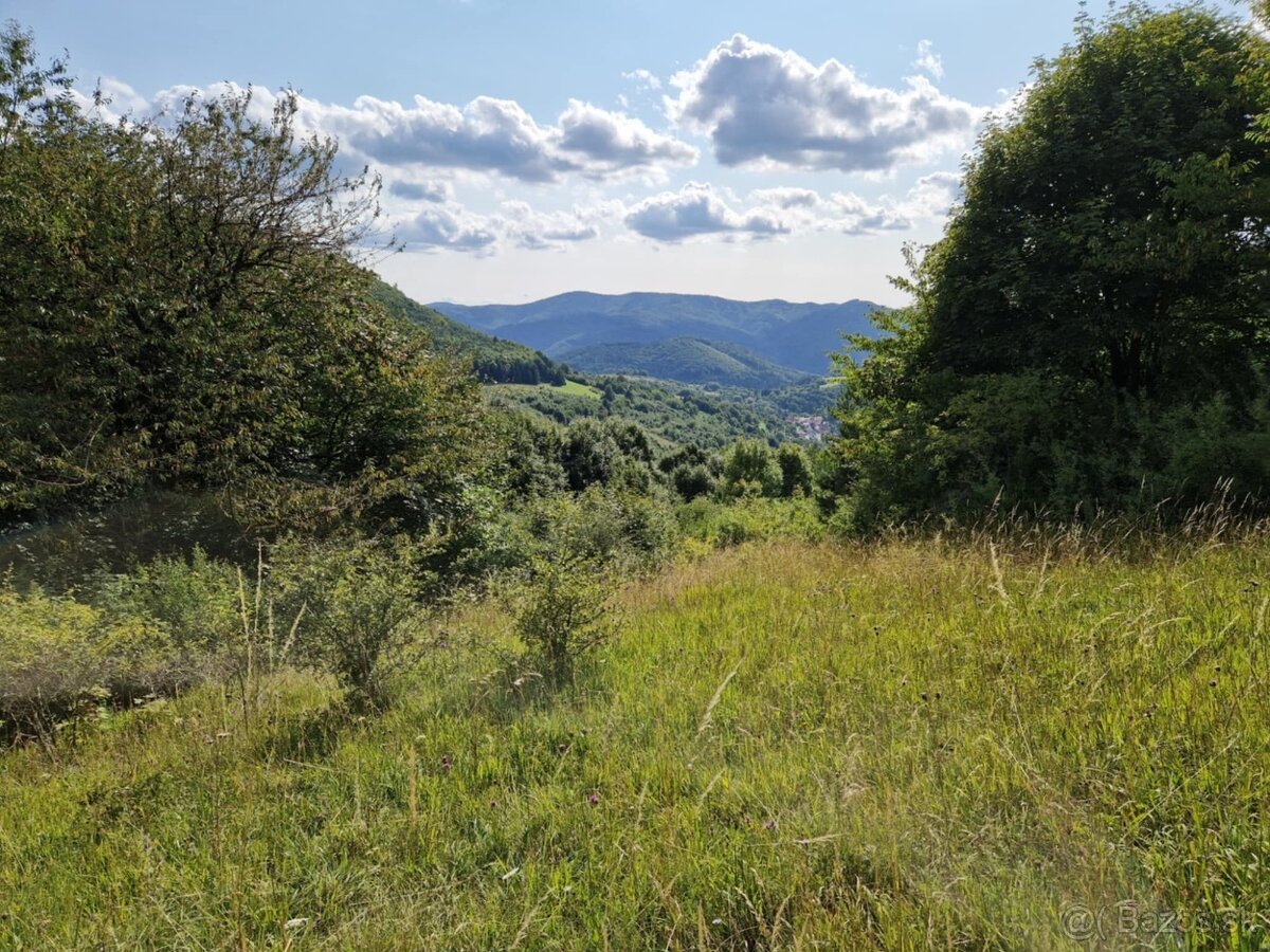 Na predaj pozemok v malebnej v obci Čavoj okres Prievidza. - 2