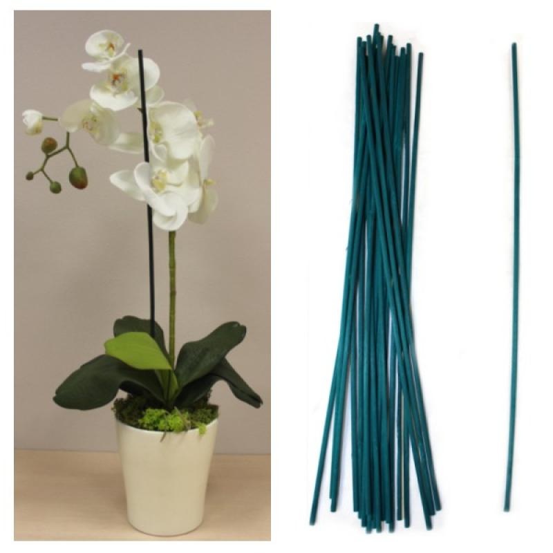 Opory k rastlinám - 2