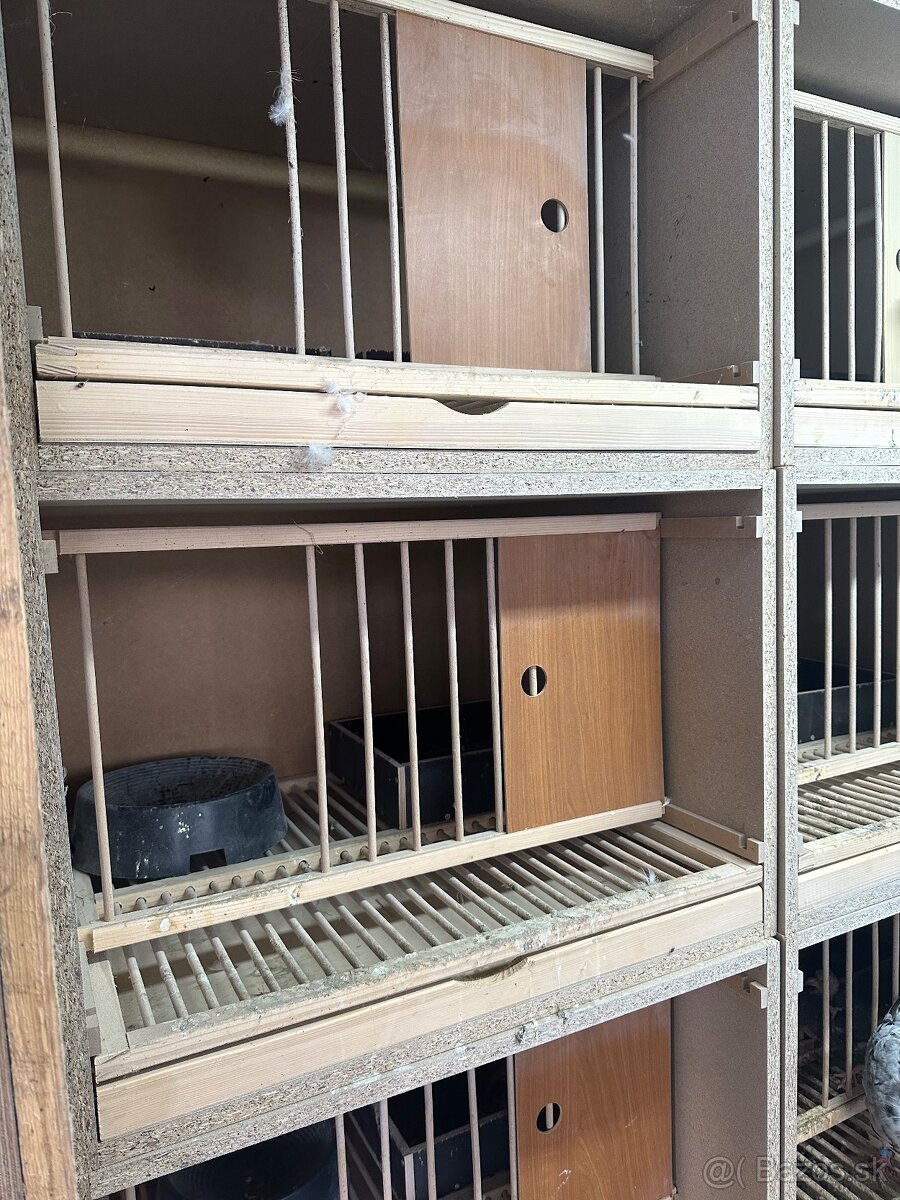 Budnik , budka pre holuba , budniky , budky pre holuby - 2