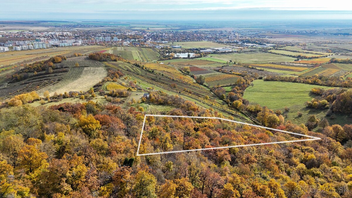 Pekný lesný pozemok kúsok od vyhliadky Vimperk - 2