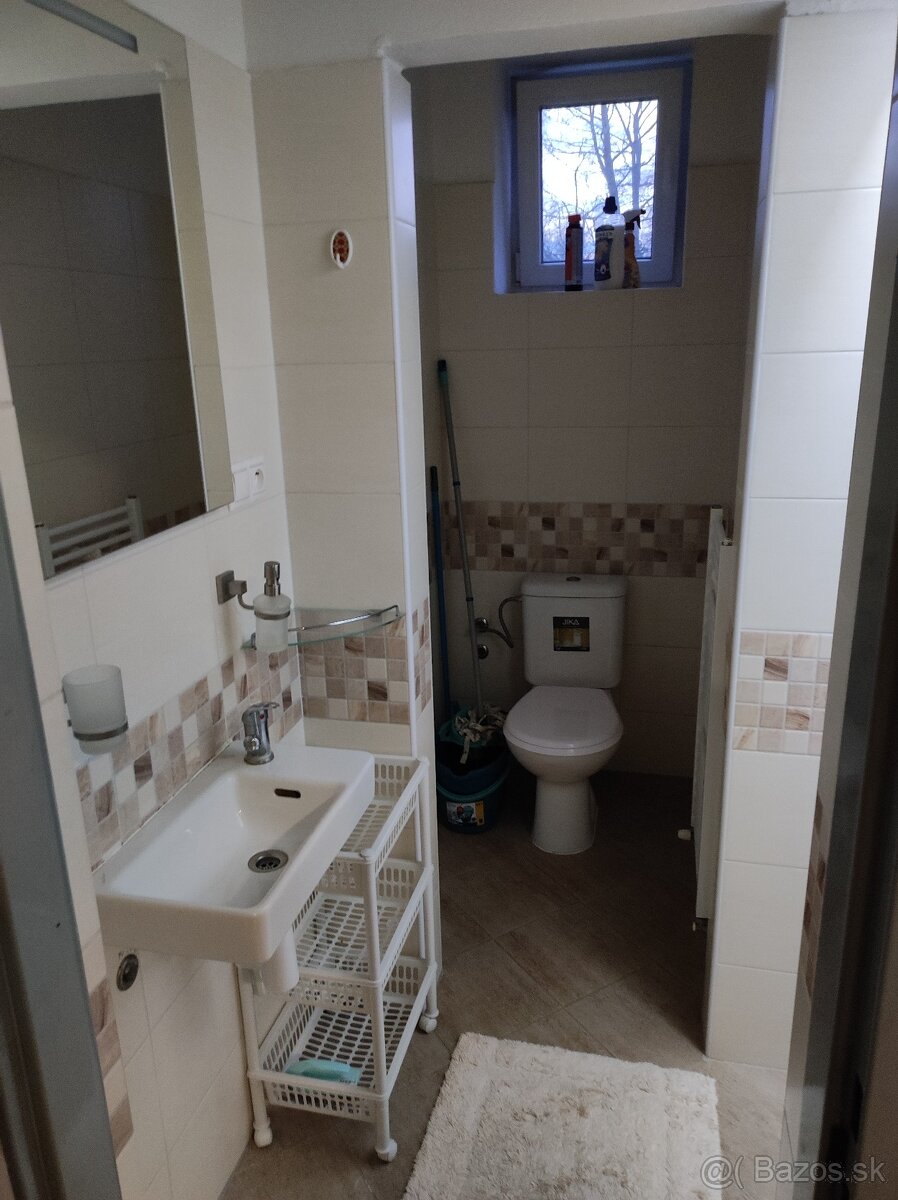 Prenájom 1 izbového bytu - 2