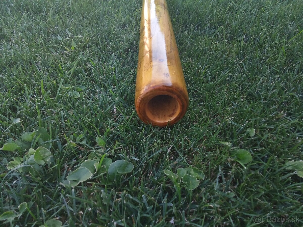 Didgeridoo - 2