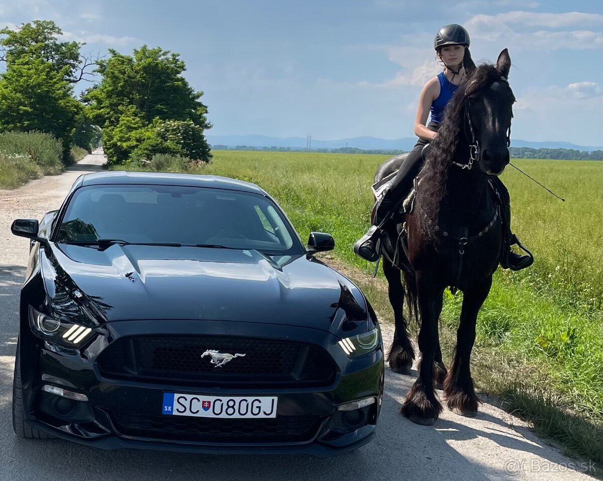 Mustang 2,3 Eco - 2