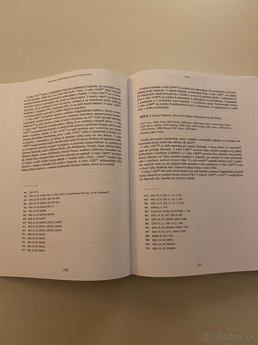 Osídlenie Ostrihomskej stolice v stredoveku - 2