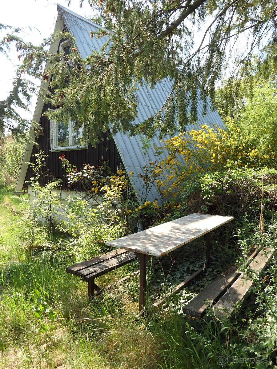 Záhrada nad Dubčekovou ulicou NMnV - 2