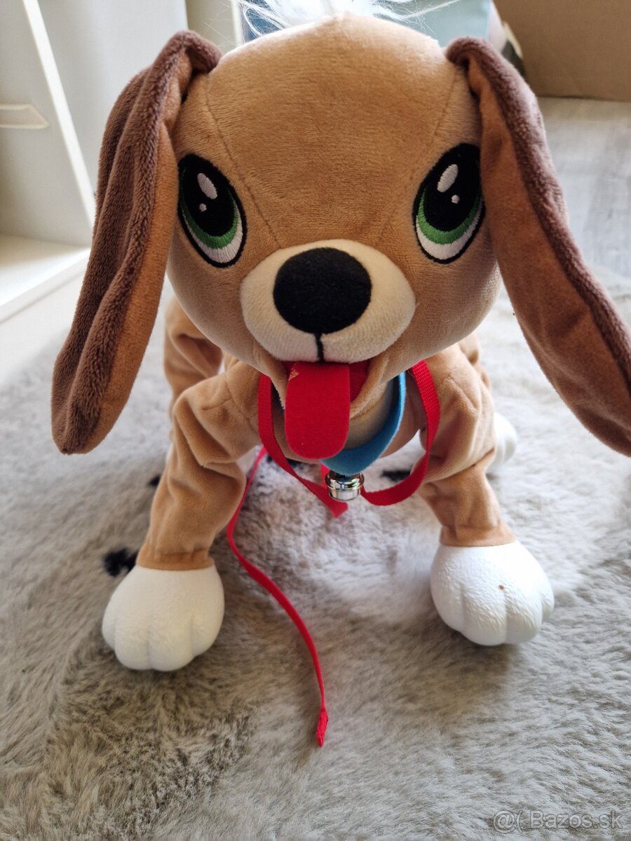 Predám psíka Floppy - 2