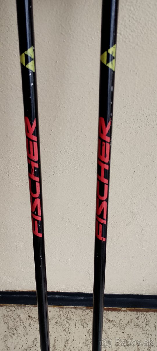 Lyžiarske palice - 2