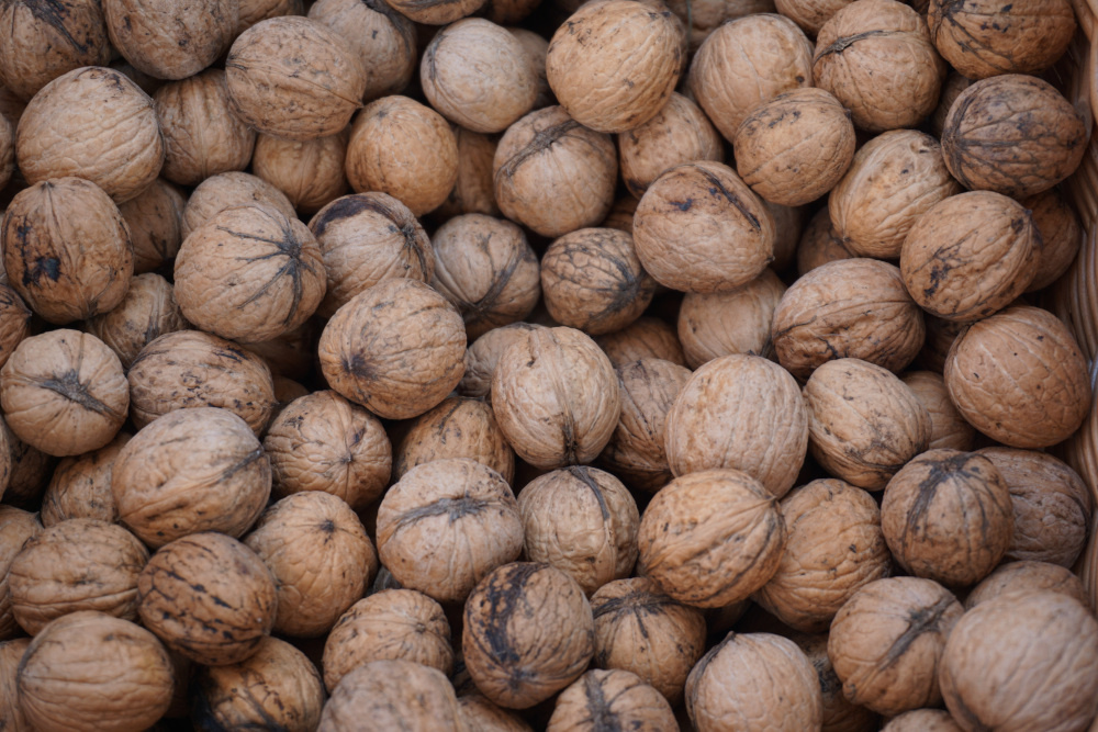 ✳️ Orechy vlašské BIO ✳️ - 2