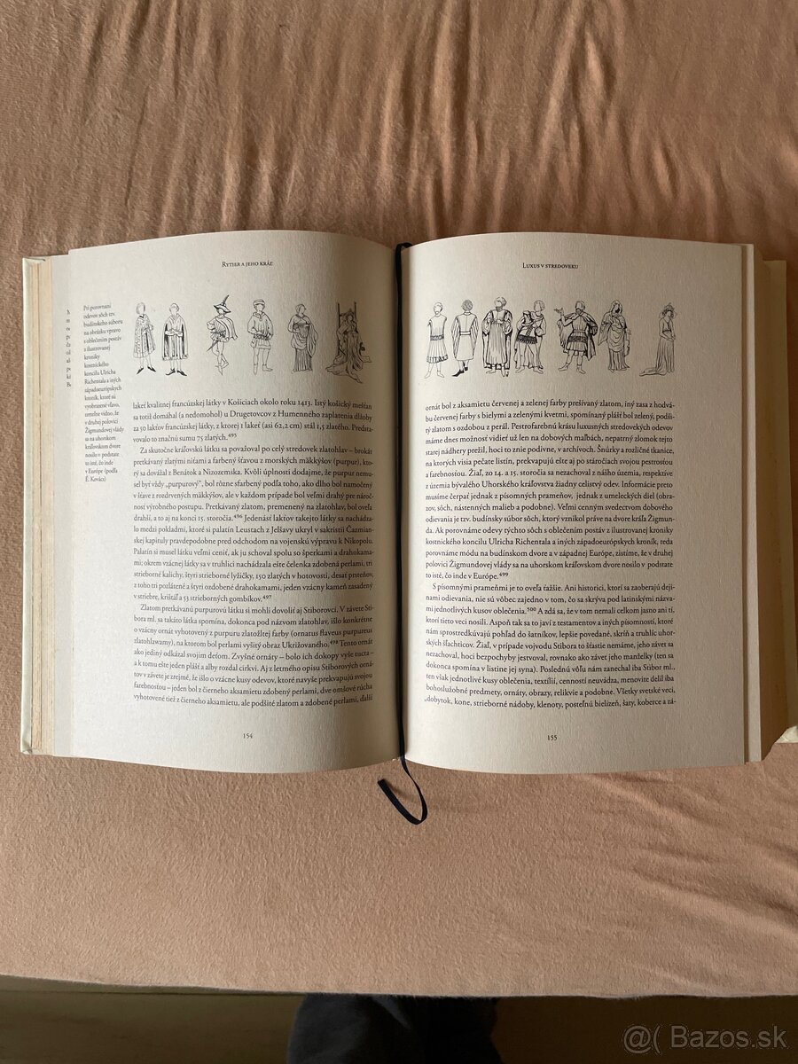 Rytier a jeho kráľ - Daniela Dvořáková - 2