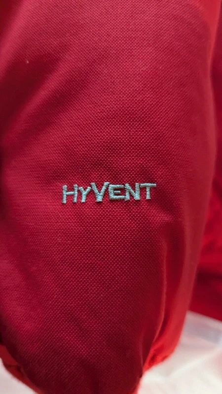 Pánska zimná bunda The North Face - 2