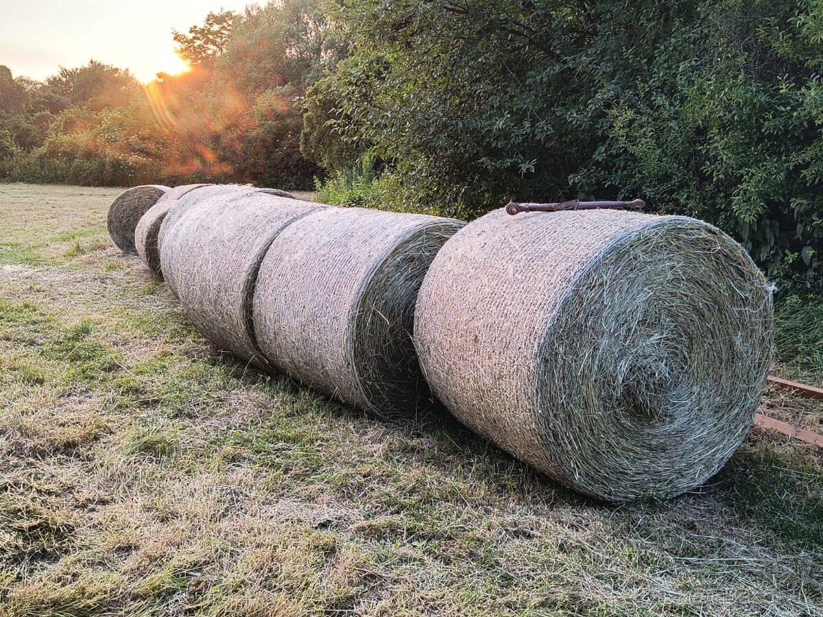 seno 120x120 balík - 2