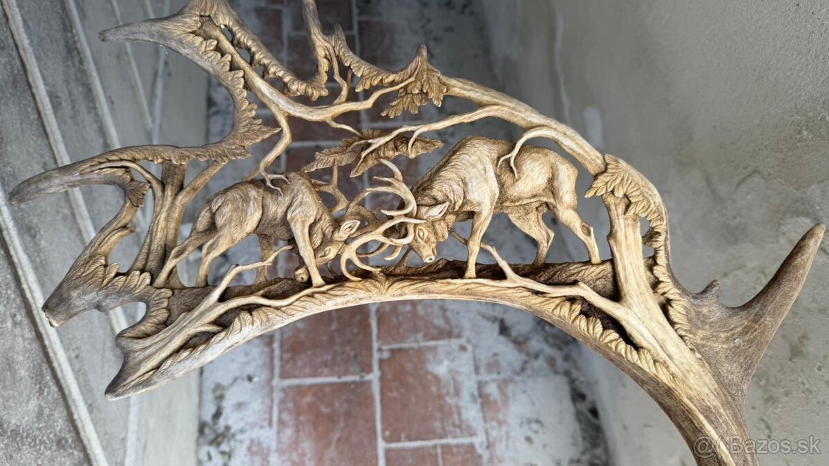 Parohy parozie Daniel graver - 2