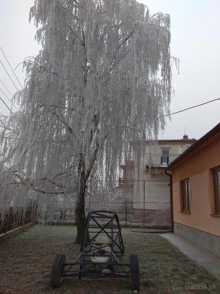 buggy - 2