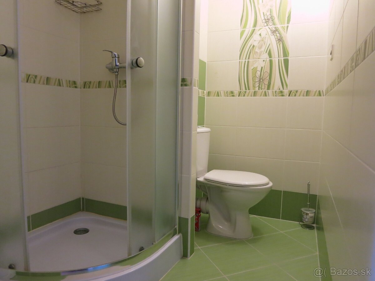 Prenajom 1 izboveho bytu - 2