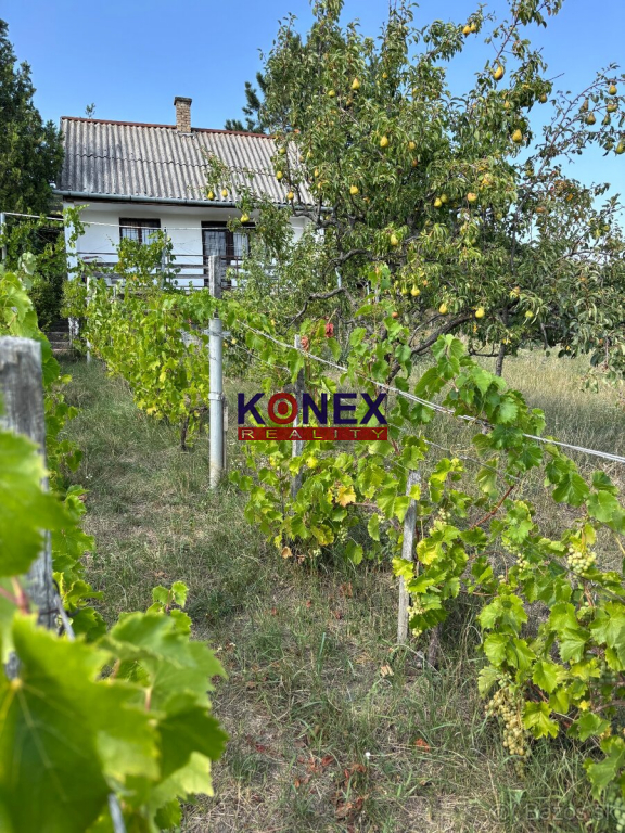 CHATA S VINICOU – Maďarsko - Sátoraljaújhely - 2