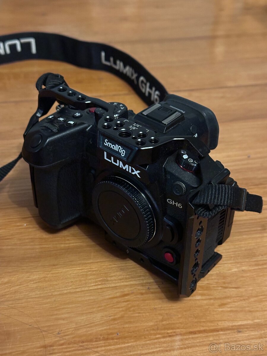 Panasonic Lumix GH-6 Micro 4/3 - 2