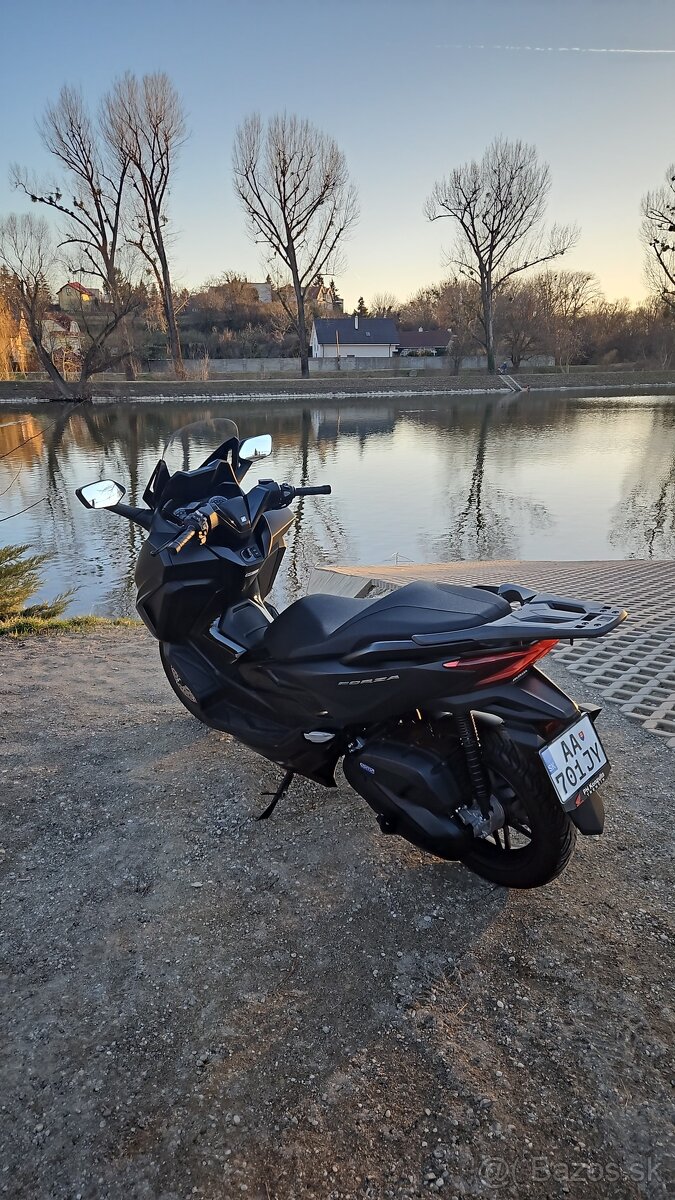 Honda Forza 2023 - 2