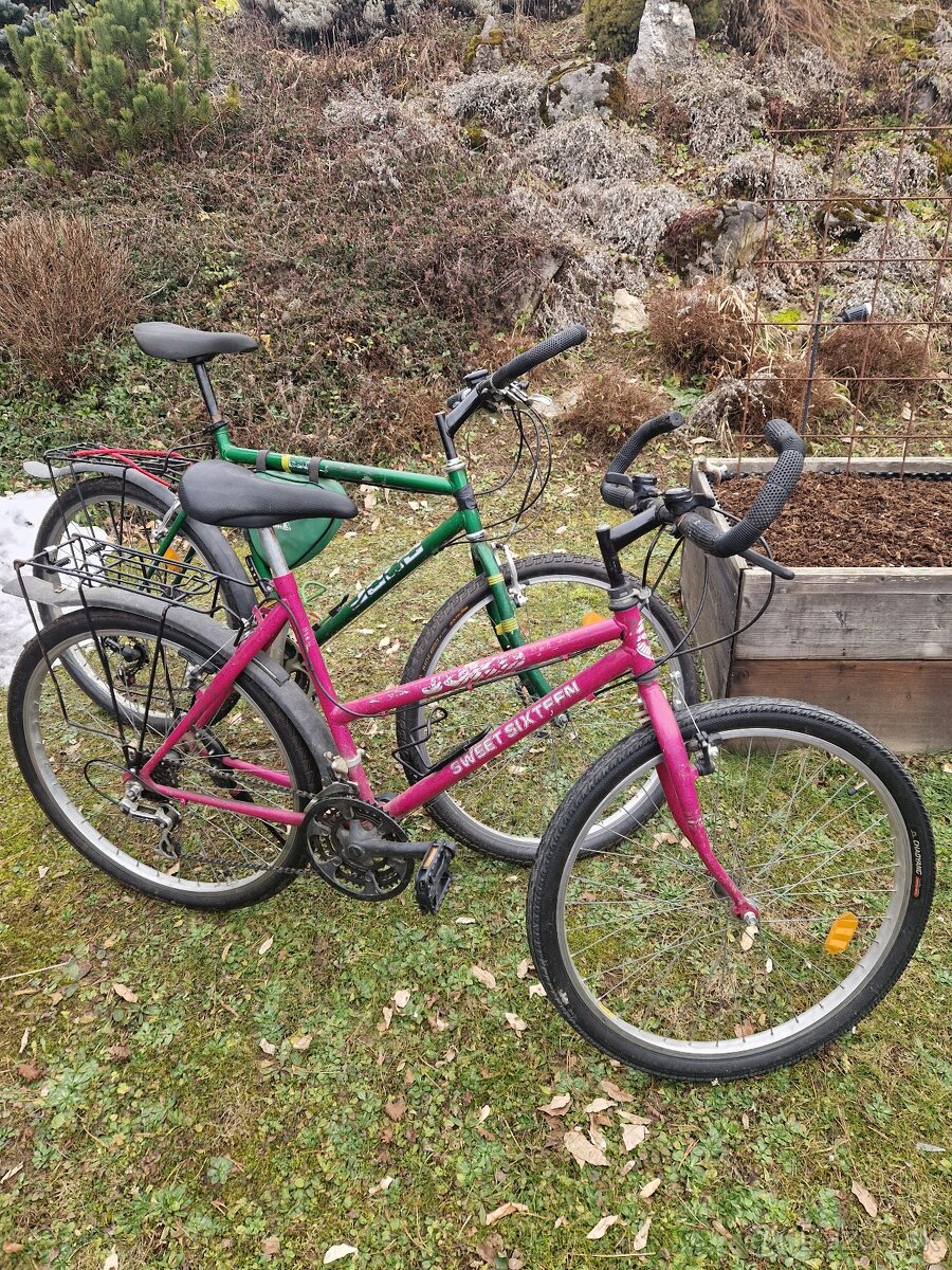 Horsky bicykel 2ks - 2