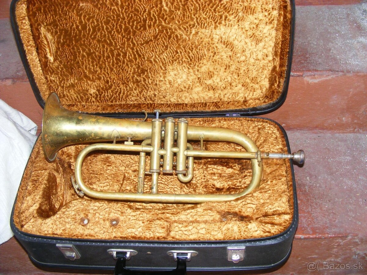 Kridlovka Amati - 2